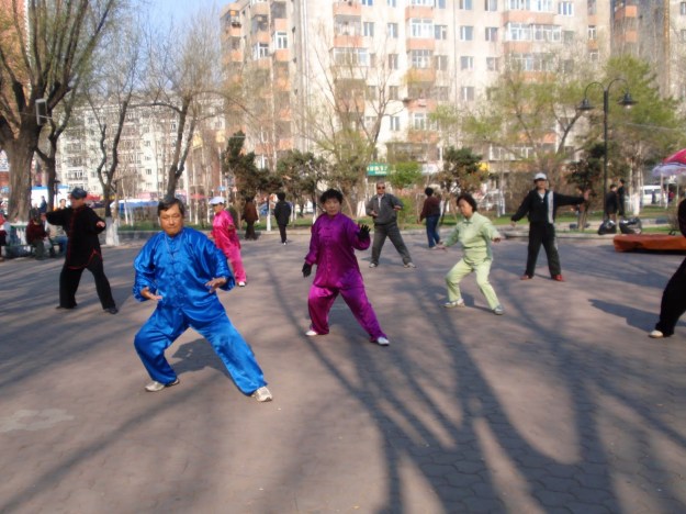 tai chi old
