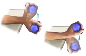 wrist-curl